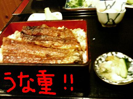 うな重.JPG