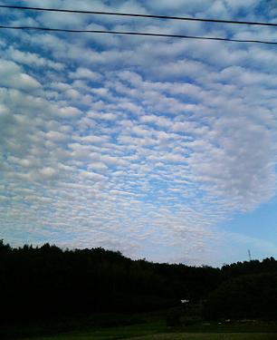 激烈うろこ雲.JPG