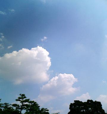 雲だべ。。。よ。.JPG